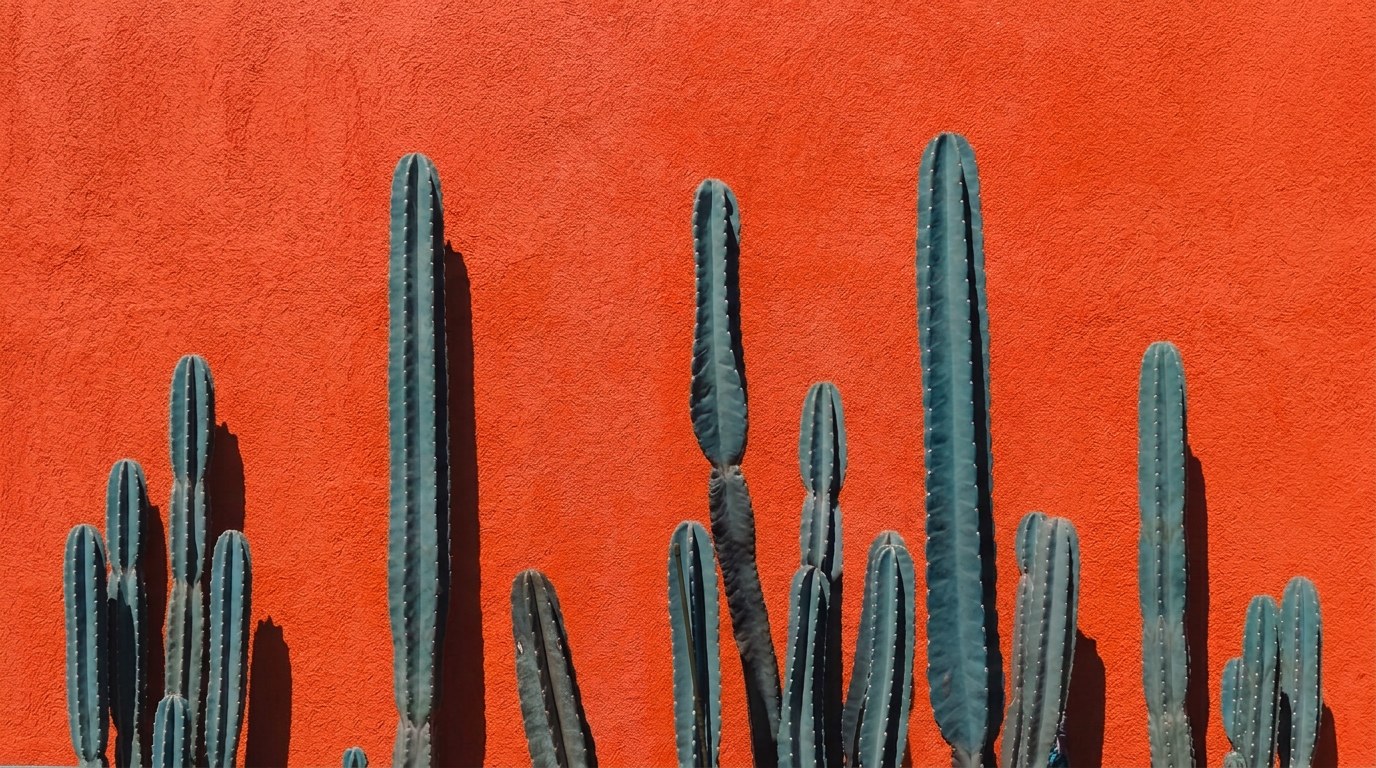 Blue-green columnar cacti against a sunlit burnt-orange stucco wall